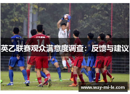 英乙联赛观众满意度调查：反馈与建议