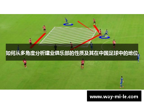 如何从多角度分析建业俱乐部的性质及其在中国足球中的地位