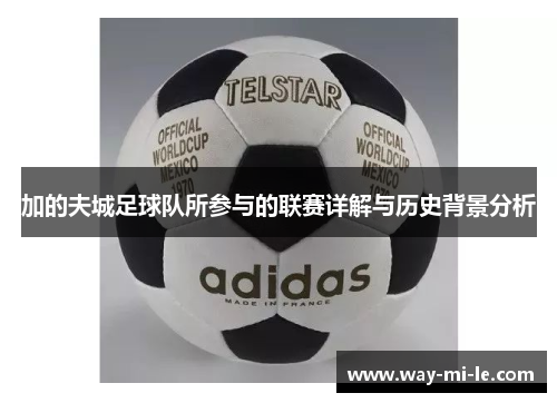 加的夫城足球队所参与的联赛详解与历史背景分析