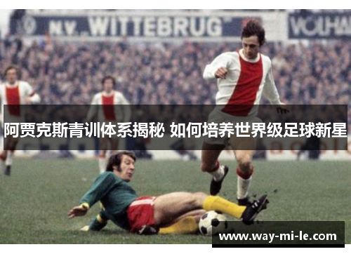 阿贾克斯青训体系揭秘 如何培养世界级足球新星