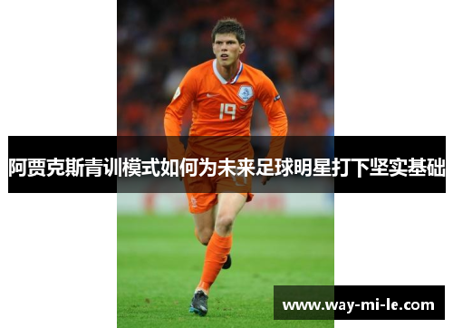 阿贾克斯青训模式如何为未来足球明星打下坚实基础