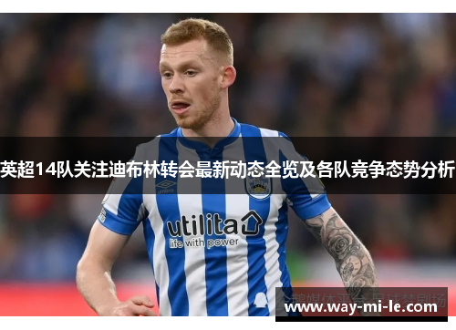英超14队关注迪布林转会最新动态全览及各队竞争态势分析