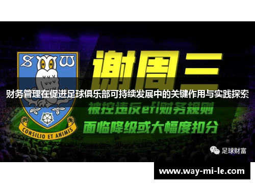 财务管理在促进足球俱乐部可持续发展中的关键作用与实践探索