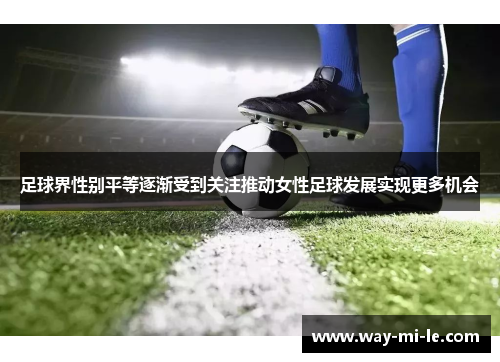 足球界性别平等逐渐受到关注推动女性足球发展实现更多机会